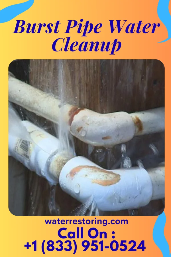 Burst Pipe Water Cleanup in Honea Path, SC