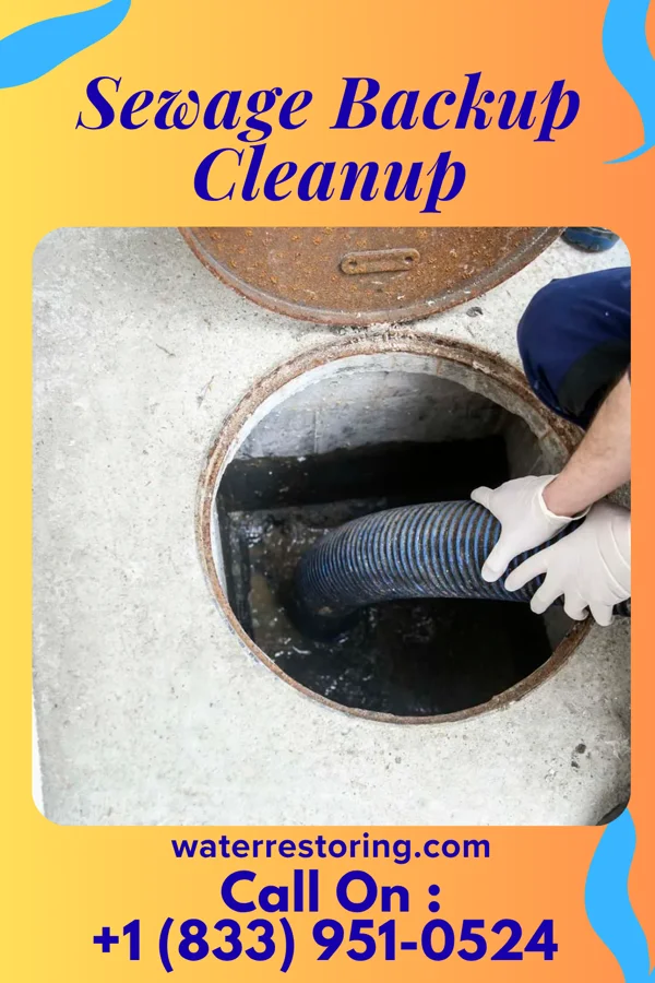 Sewage Backup Cleanup in Honea Path, SC