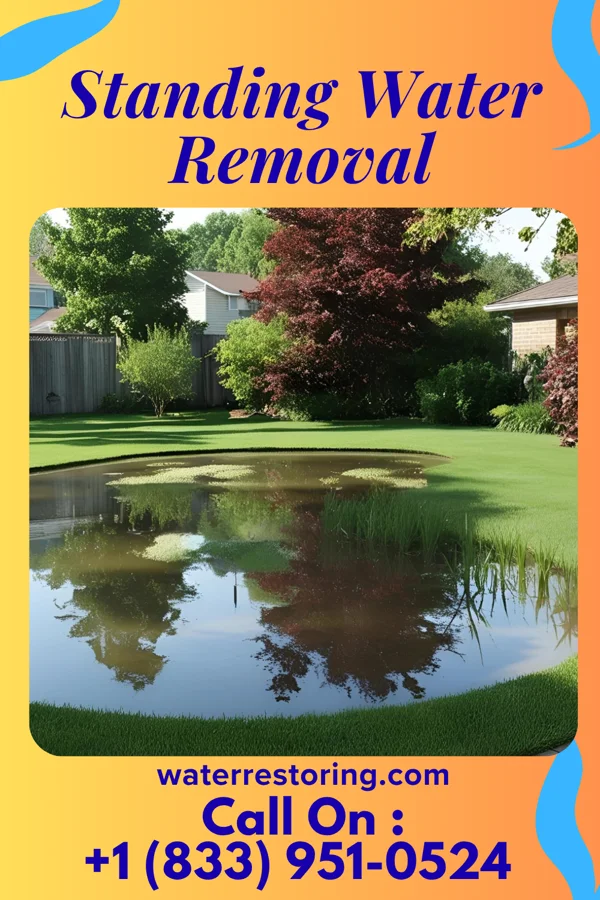 Standing Water Removal in Honea Path, SC